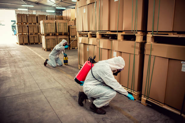 Best Bed Bug Extermination  in Val Verde, CA