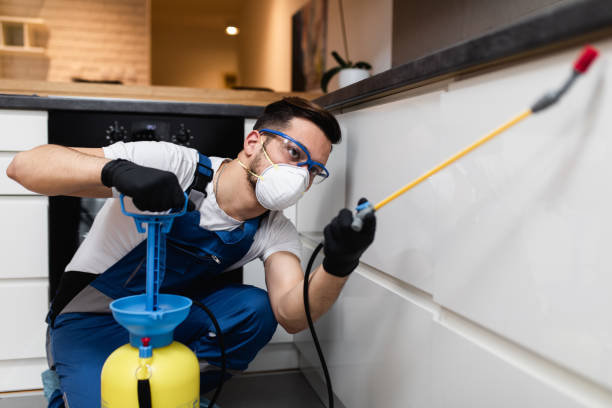 Best Rat Extermination Near Me  in Val Verde, CA