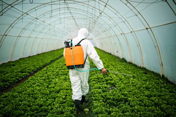 Best Pest Control Cost  in Val Verde, CA