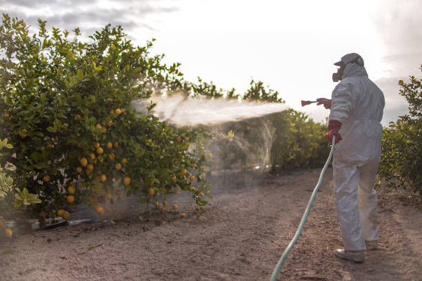 Pest Control for Restaurants in Val Verde, CA