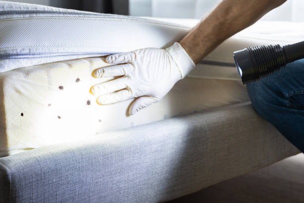 Pest Control Cost in Val Verde, CA