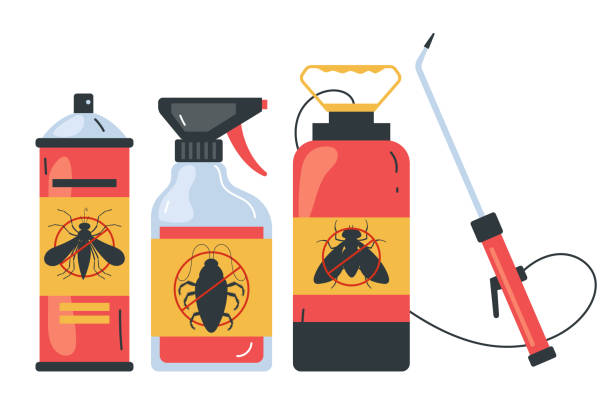 Best Ant Control Services  in Val Verde, CA