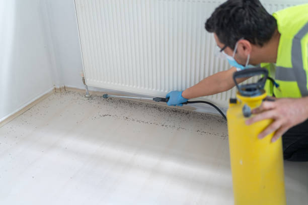 Best Best Pest Control Companies  in Val Verde, CA