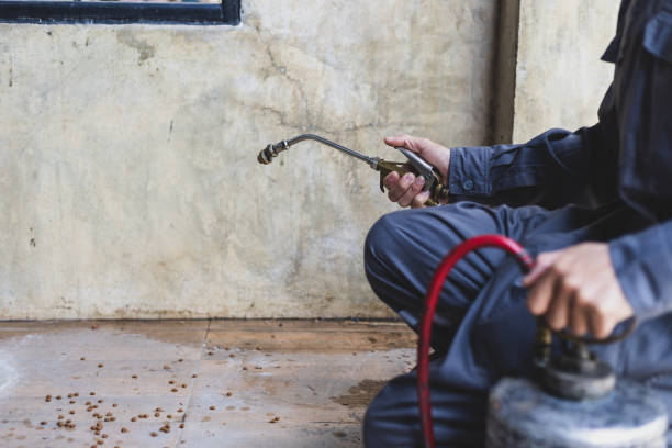 Best Exterminator Services  in Val Verde, CA